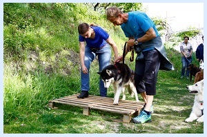 Seminar im Hundehotel Mair am Ort