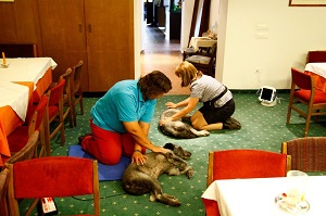 Seminar im Hundehotel Mair am Ort