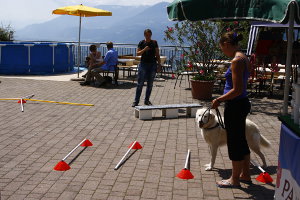 Seminar im Hundehotel Mair am Ort