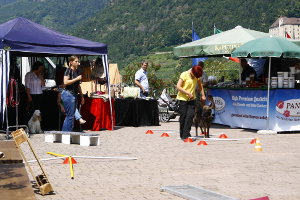 Seminar im Hundehotel Mair am Ort