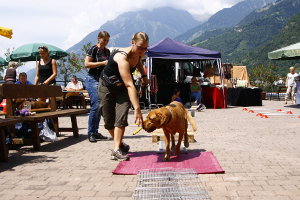 Seminar im Hundehotel Mair am Ort